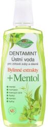 Bione Cosmetics Agent de clătire pentru cavitatea bucală - Bione Cosmetics Dentamint Mouthwash Menthol 500 ml
