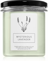 Hagi Mysterious Lavender lumânare parfumată 230 g