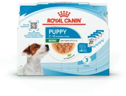 Royal Canin Mini Puppy Multipack 4x85g -nedves táp kistestű kölyök kutya részére