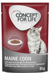 Concept for Life 48x85g Concept for Life Maine Coon Adult (ragu-minőség) nedves macskatáp rendlívüli árengedménnyel