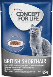 Concept for Life 48x85g Concept for Life British Shorthair Adult (ragu-minőség) nedves macskatáp rendlívüli árengedménnyel