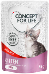 Concept for Life Concept for Life 10 + 2 gratis! 12 x 85 g Hrană umedă pisici - Kitten Vită în gelatină
