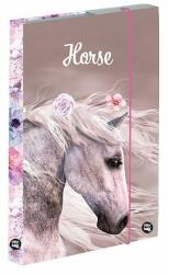 Oxybag Cutie pentru caiete A4 Jumbo horse romantic