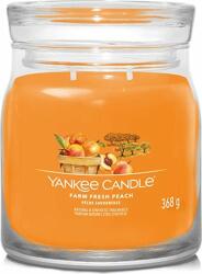 Yankee Candle Fresh farm barack Gyertya üvegedényben, 368 g (NW3500530)