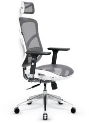 Diablo Chairs DIABLO V-BASIC ortopéd ergonomikus irodai szék: Fehér-szürke (970)