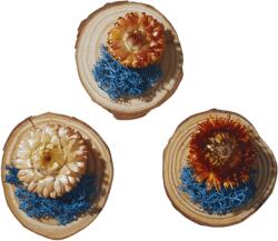 Onore Martisor suport lemn, Onore, multicolor, lemn si licheni, 6 cm diametru, aranjament floare licheni albastru
