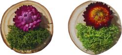 Onore Martisor suport lemn, Onore, multicolor, lemn si licheni, 6 cm diametru, aranjament floare licheni verde