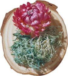 Onore Martisor suport lemn, Onore, multicolor, lemn si licheni, 6 cm diametru, aranjament floare licheni bleu