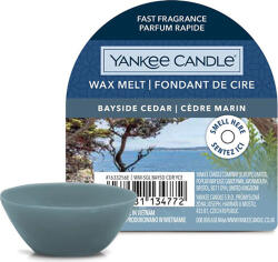 Yankee Candle Lumânare Yankee, Cedru de coastă, Ceară parfumată 22 g (NW3499771)