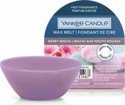 Yankee Candle Lumânare Yankee, Mochi cu fructe, Ceară parfumată 22 g (NW3477120)