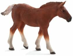 Mojo Suffolk Punch Foal M