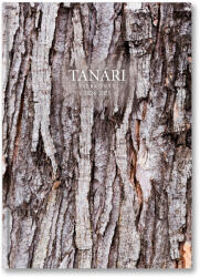 TopTimer P200 Tanári zsebkönyv, 2024/25, Wood (25P200J-00B)