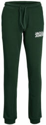 Jack&Jones Junior Pantaloni trening 12179798 Verde Slim Fit