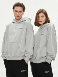 2005 Bluză Unisex Basic Hoodie Gri Relaxed Fit