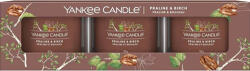 Yankee Candle Yankee gyertya, praliné és nyírfa, fogadalmi gyertya készlet 3 x 37 g (NW3500490)