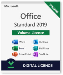 Microsoft Office 2019 Standard 500 PC MAK ESD