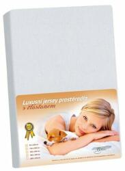 Bellatex Cearșaf de pat Bellatex Jersey cu elastan gri deschis, gri, 220 x 200 cm