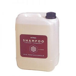 Artègo Sampon profesional cu miere Artego 5000 ml