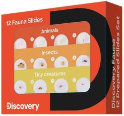  Tartozékok Discovery Fauna 12 előkészített diakészlet