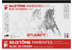 ICO Skiccfüzet ICO Student A/4 20 lapos (01_08126)