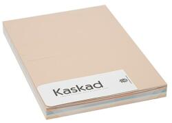 KASKAD Dekorációs karton KASKAD A/4 2 oldalas 160 g pasztell vegyes színek 5x25 íves 621100 (K16) (621100 (K16))