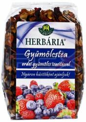 Herbária Gyümölcstea Erdei Gyümölcs Darabokkal 120g - pcx