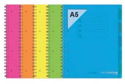  Orna Pro PP A5 120 lapos kockás vegyes színű spirálfüzet ARD0236FLU (ARD0236FLU)