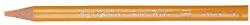 Astra Színes ceruza ASTRA bőrszín 312117013 (312117013)