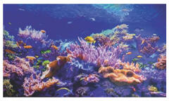 ANRO Wall 100x60 cm XXL 3D PVC dekorpanel, konyhapanel, műanyag fali kép - Coral Reef (TP10019554)