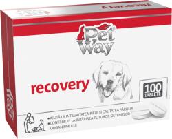 PetWay Recovery - 100 Tablete (10808)