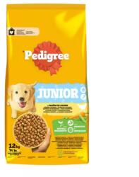 PEDIGREE Junior M/L száraz kutyatáp - baromfi, zöldség 12 kg