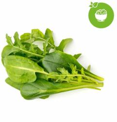 Click & Grow Salate mixte, capsule cu semințe și substrat 9buc (PPMSAX9)