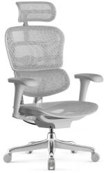 Antares ERGOHUMAN II Project ergonomikus irodai szék, Szürke