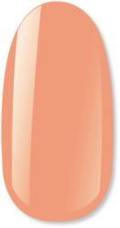 NiiZA Gel Polish 4ml - 486