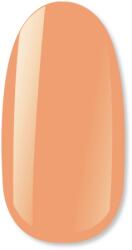 NiiZA Gel Polish 4ml - 487