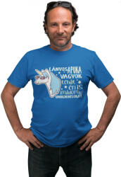  Lányos apuka vagyok - Férfi Póló (233001)