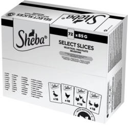 Sheba Select Slices - pasăre 72 x 85 g