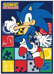SEGA Pătură Sega Games: Sonic the Hedgehog - Sonic the Hedgehog