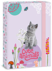 Ars Una Füzetbox A/4 Cute Animals Kitten 5368 (AU50853687)