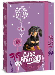 Ars Una Füzetbox A/4 Cute Animals Puppy 5369 (AU50853694)