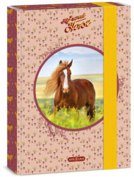 Ars Una Füzetbox A/5 My Sweet Horse 5358 (AU50863587)