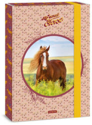 Ars Una Füzetbox A/4 My Sweet Horse 5358 (AU50853588)