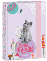 Ars Una Füzetbox A/5 Cute Animals Kitten 5368 (AU50863686)