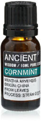 Ancient Wisdom MENTA ILLÓOLAJ - 10 ml (EO-83)