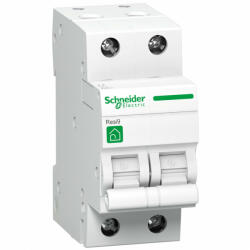 Schneider Electric Schneider kismegszakító 2P C 13A 4, 5kA RESI9 R9F14213 (R9F14213) (R9F14213)