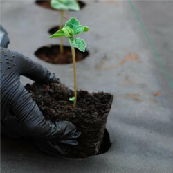 Gardlov kerti agrotextilia a gyomok ellen 70g/m2 1 1x50 m fekete, UV védelem