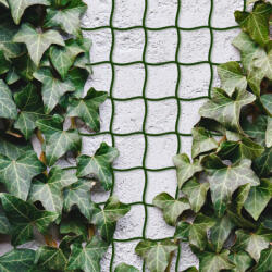  Növényfuttató háló - 5 m x 50 cm - vágható műanyag - sötétzöld (G11467)