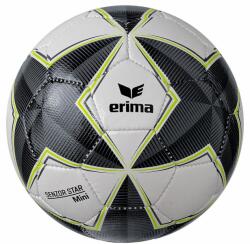 ERIMA labda (futball, Senzor Star Match Mini) 7192415-00