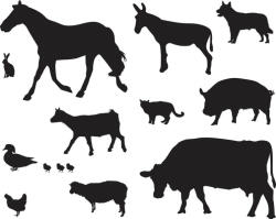  Farmi állatok piktogram matrica szett