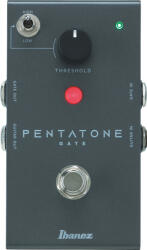 Ibanez PTGATE Pentatone Noize Gate pedál